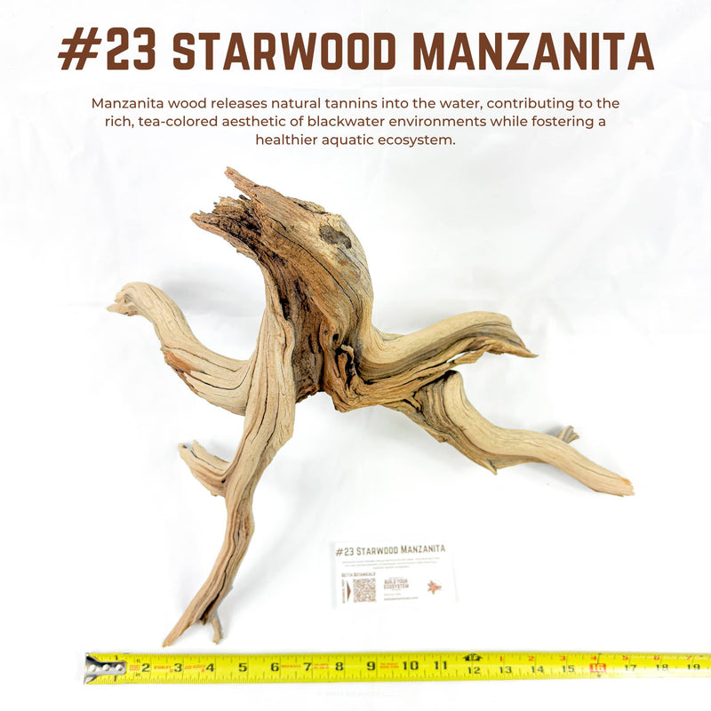 Starwood Manzanita | WYSIWYG Pieces