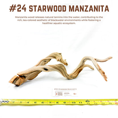 Starwood Manzanita | WYSIWYG Pieces
