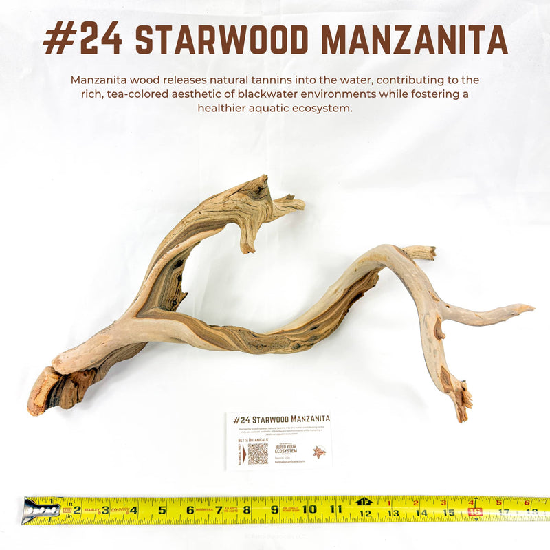 Starwood Manzanita | WYSIWYG Pieces