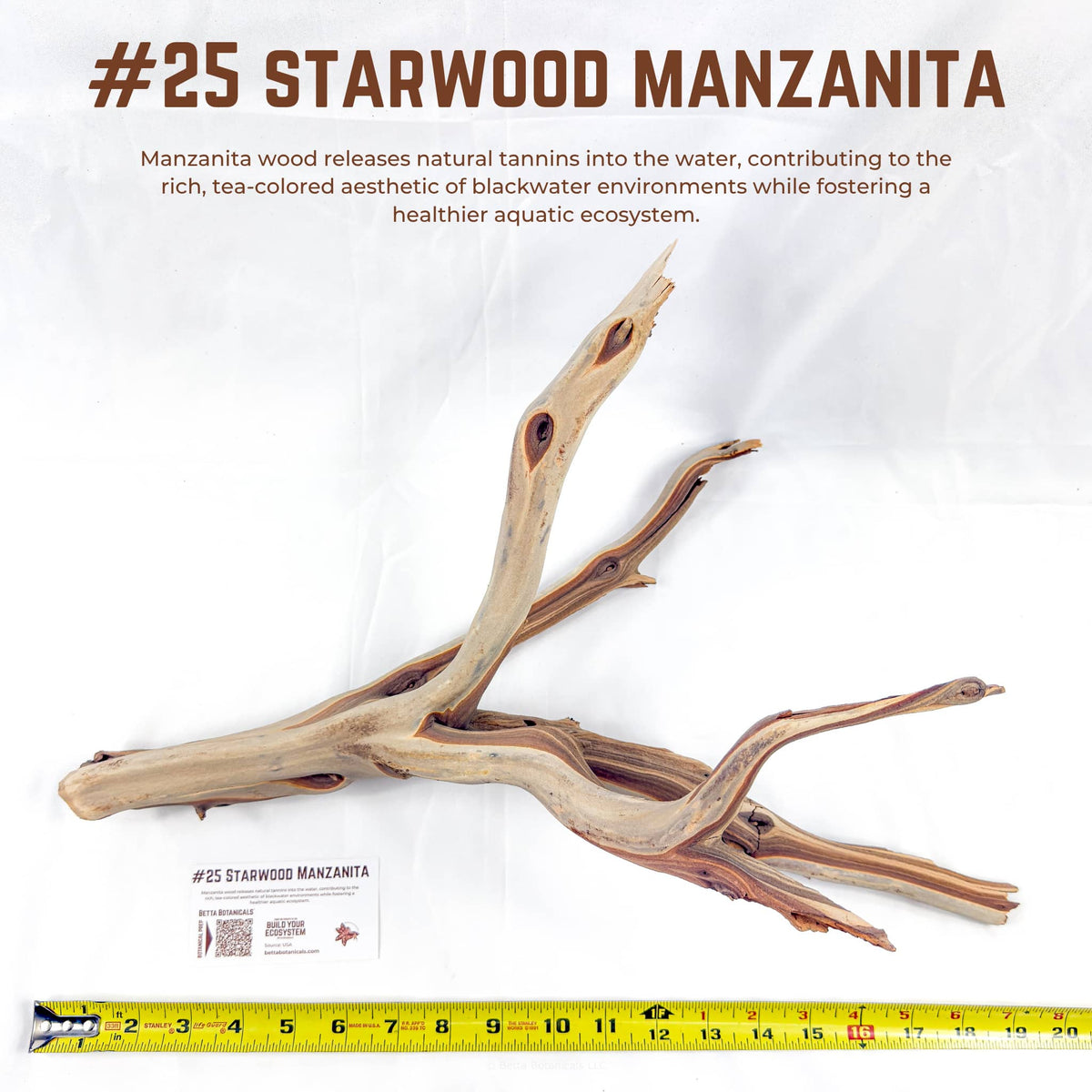 Starwood Manzanita | WYSIWYG Pieces