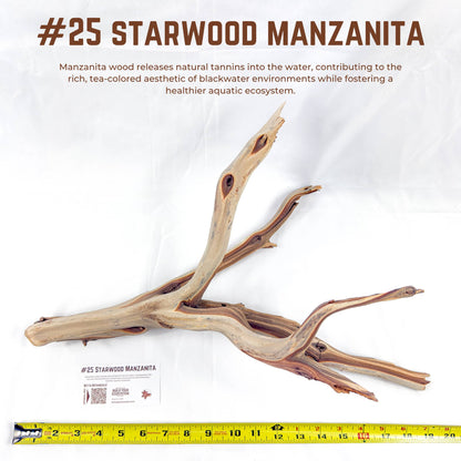 Starwood Manzanita | WYSIWYG Pieces