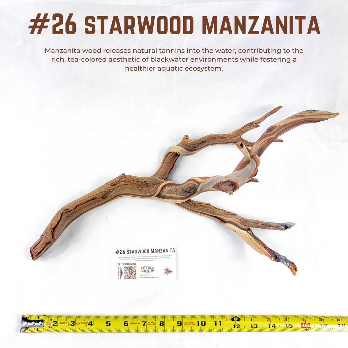 Starwood Manzanita | WYSIWYG Pieces