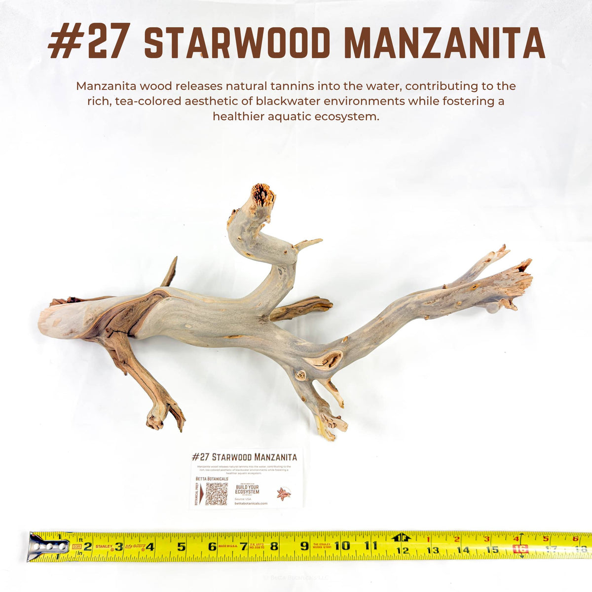 Starwood Manzanita | WYSIWYG Pieces