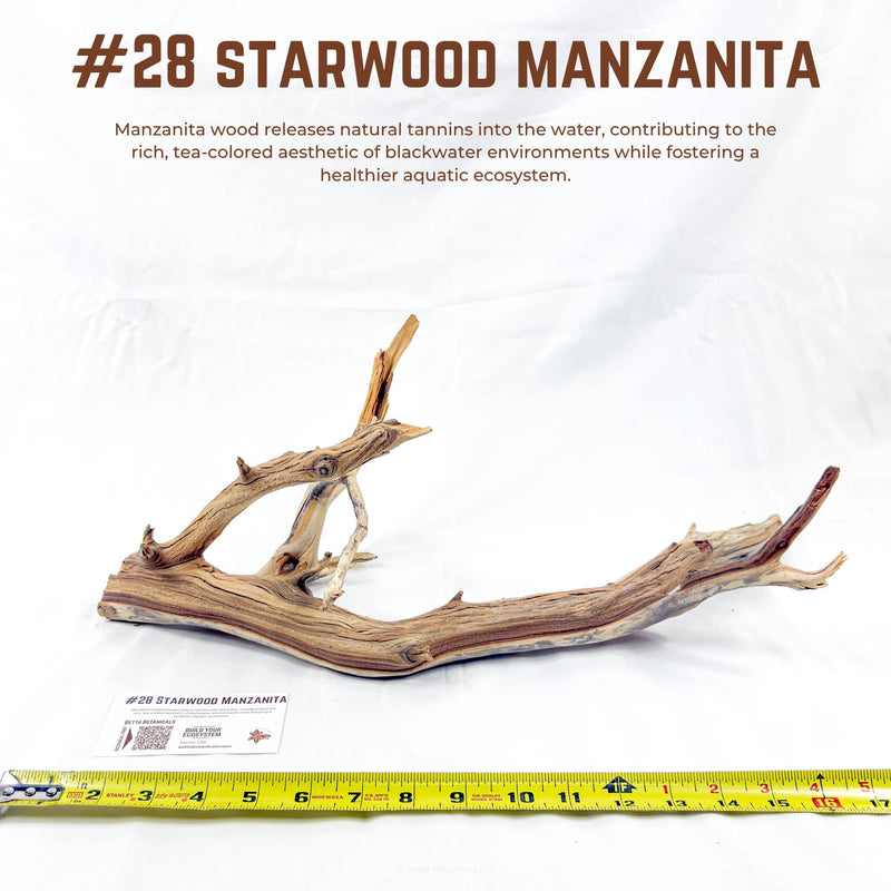 Starwood Manzanita | WYSIWYG Pieces
