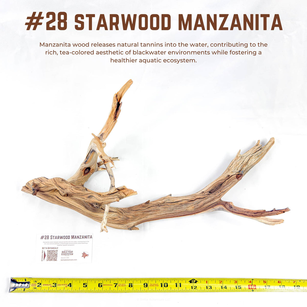 Starwood Manzanita | WYSIWYG Pieces