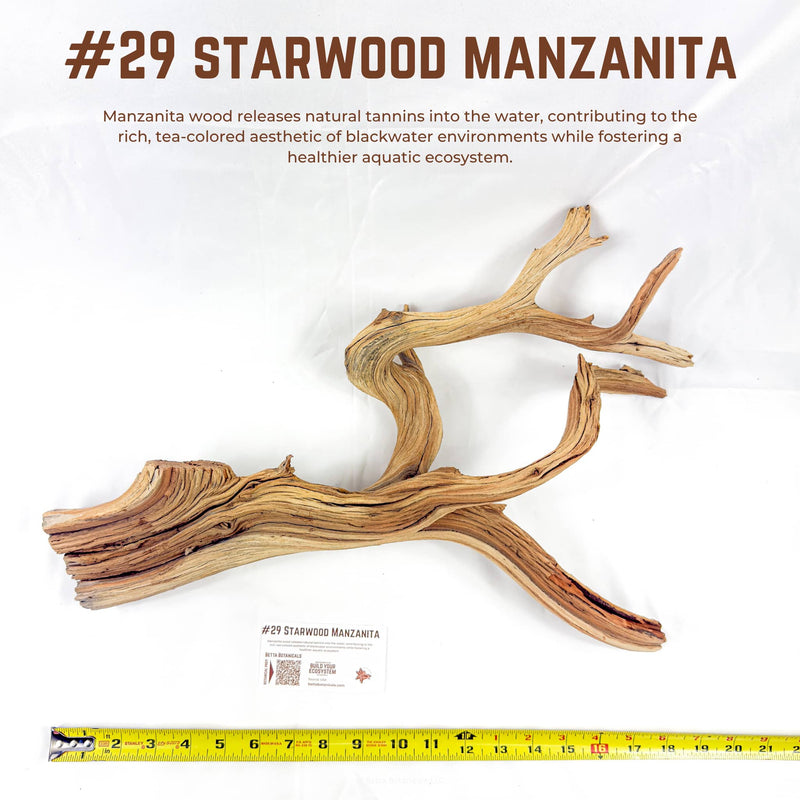 Starwood Manzanita | WYSIWYG Pieces