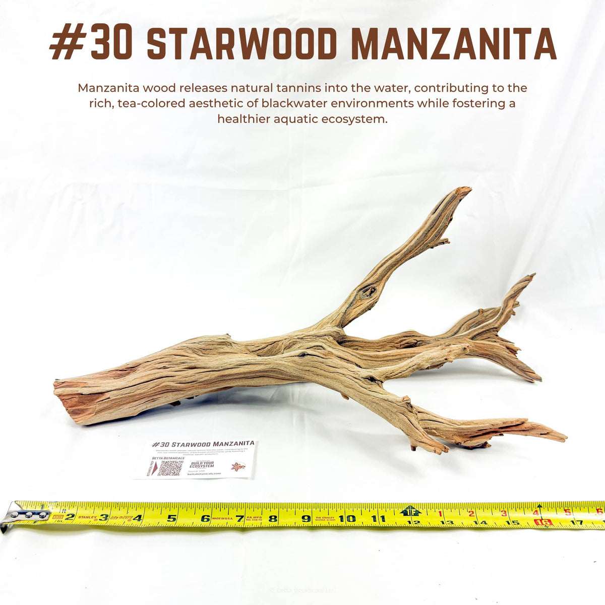 Starwood Manzanita | WYSIWYG Pieces
