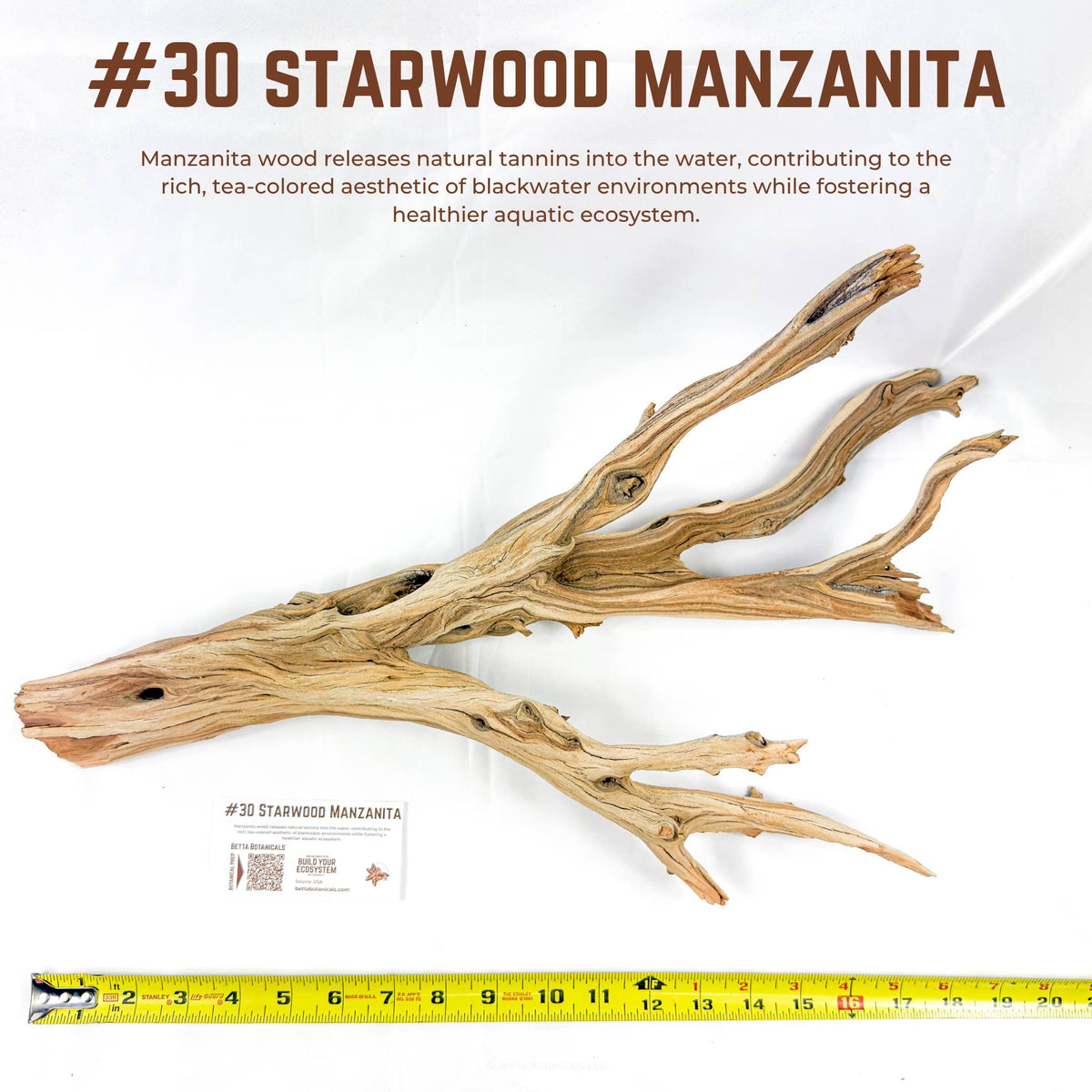 Starwood Manzanita | WYSIWYG Pieces
