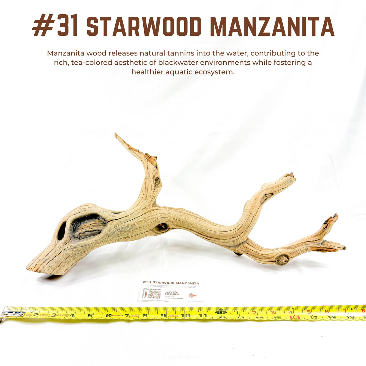 Starwood Manzanita | WYSIWYG Pieces