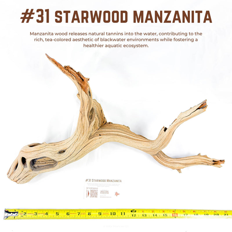 Starwood Manzanita | WYSIWYG Pieces