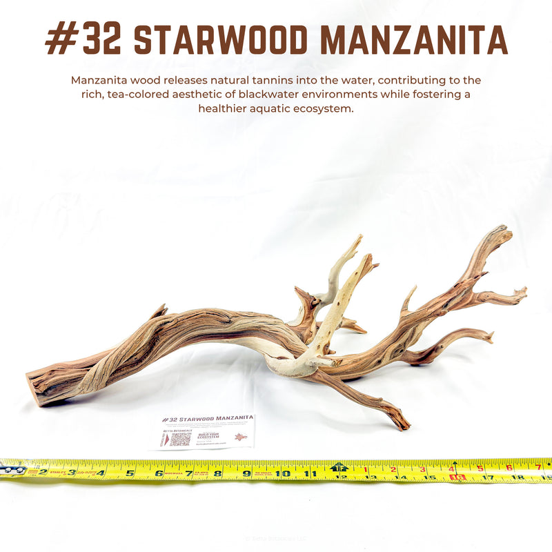 Starwood Manzanita | WYSIWYG Pieces