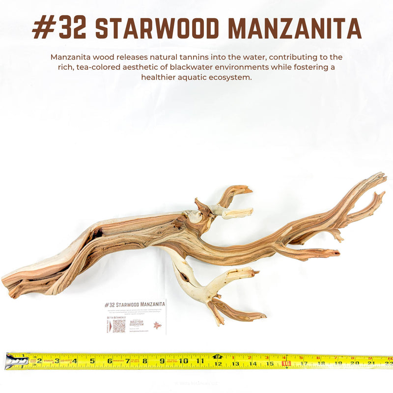 Starwood Manzanita | WYSIWYG Pieces