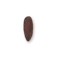 Triangle seed pod with flat, dark brown surface and subtle texture, photographed on a white background for blackwater aquarium use at Betta Botanicals.