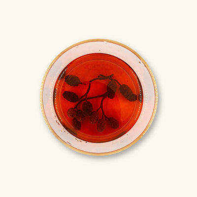 A glass jar of brown alder cones, with bright red tannins, photographed on a natural background at Betta Botanicals.