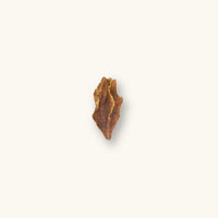 A brown, woody arjuna pod (Terminalia arjuna) for blackwater aquariums, photographed on a natural background at Betta Botanicals.