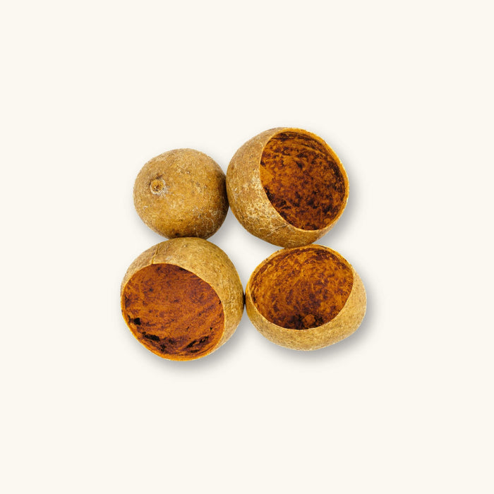 A group of round, golden-brown bael tree pods (Aegle marmelos) with hollow interiors for blackwater aquariums, photographed on a natural background at Betta Botanicals.