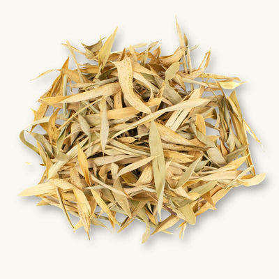 A group of pale yellow and tan bamboo leaves (Bambusa sp.) for vivariums, photographed on a natural background at Betta Botanicals.
