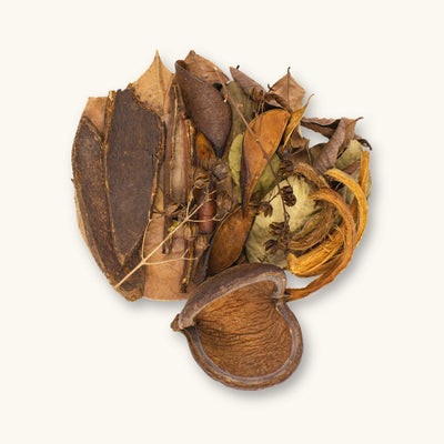 A curated mix of brown, tan, and reddish aquarium botanicals including Sterculia pods, leaves, and bark for blackwater aquariums, photographed on a natural background at Betta Botanicals.