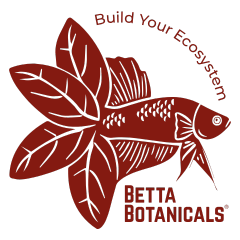A maroon graphic of the official betta botanicals logo, with a betta fish shown having leaves for its tail fins and text, 'betta botanicals' and 'build your ecosystem'.