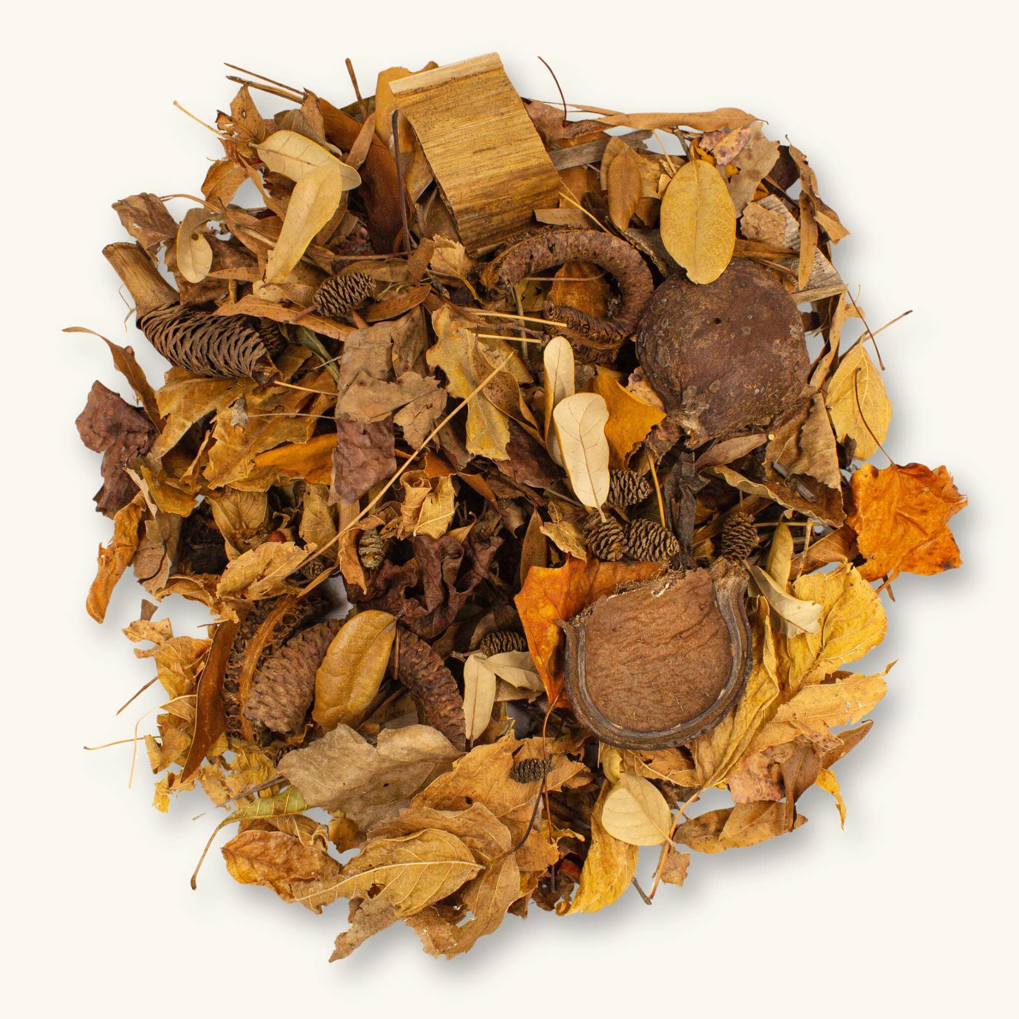 A flat lay of brown, orange, and amber dried leaves and seed pods for blackwater aquariums, photographed on a natural background at betta botanicals.