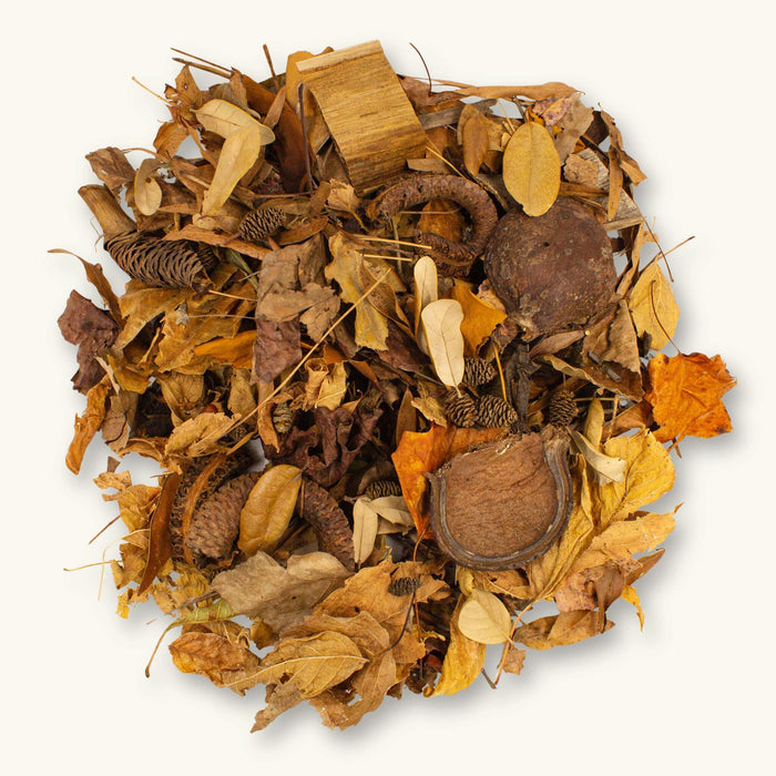 A flat lay of brown, orange, and amber dried leaves and seed pods for blackwater aquariums, photographed on a natural background at betta botanicals.