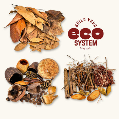 A collage of brown, red, yellow, and amber botanicals for the aquarium or vivarium, photographed on a natural background at Betta Botanicals.