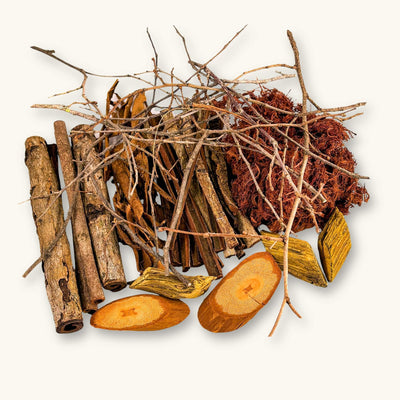 A pile of brown, red, yellow, and amber twigs and bark for the aquarium or vivarium, photographed on a natural background at Betta Botanicals.