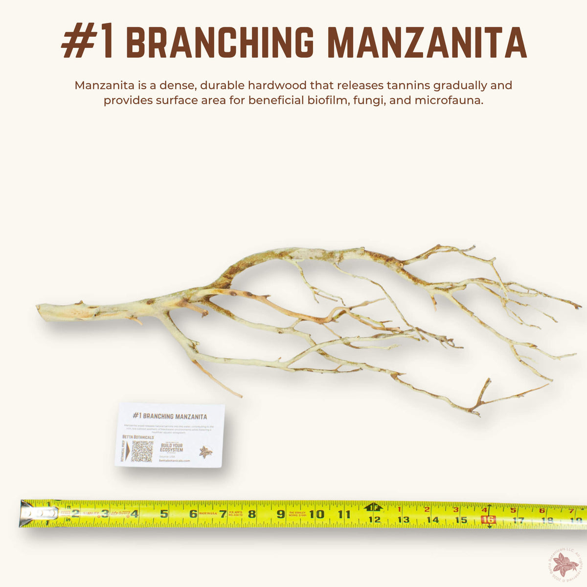 Branching Manzanita | WYSIWYG Pieces