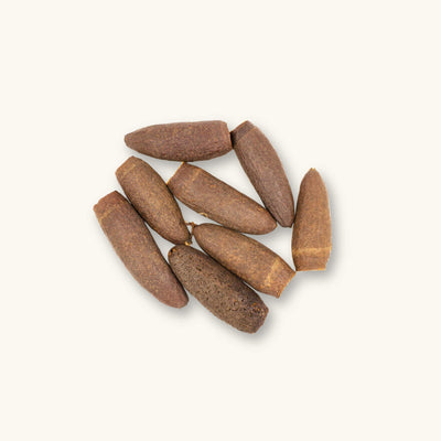 A group of brown Cariniana trumpet pods (Cariniana legalis) for blackwater aquariums, photographed on a natural background at Betta Botanicals.