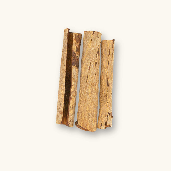 A collection of brown catappa bark curls (Terminalia catappa) for blackwater aquariums, photographed on a natural background at Betta Botanicals.