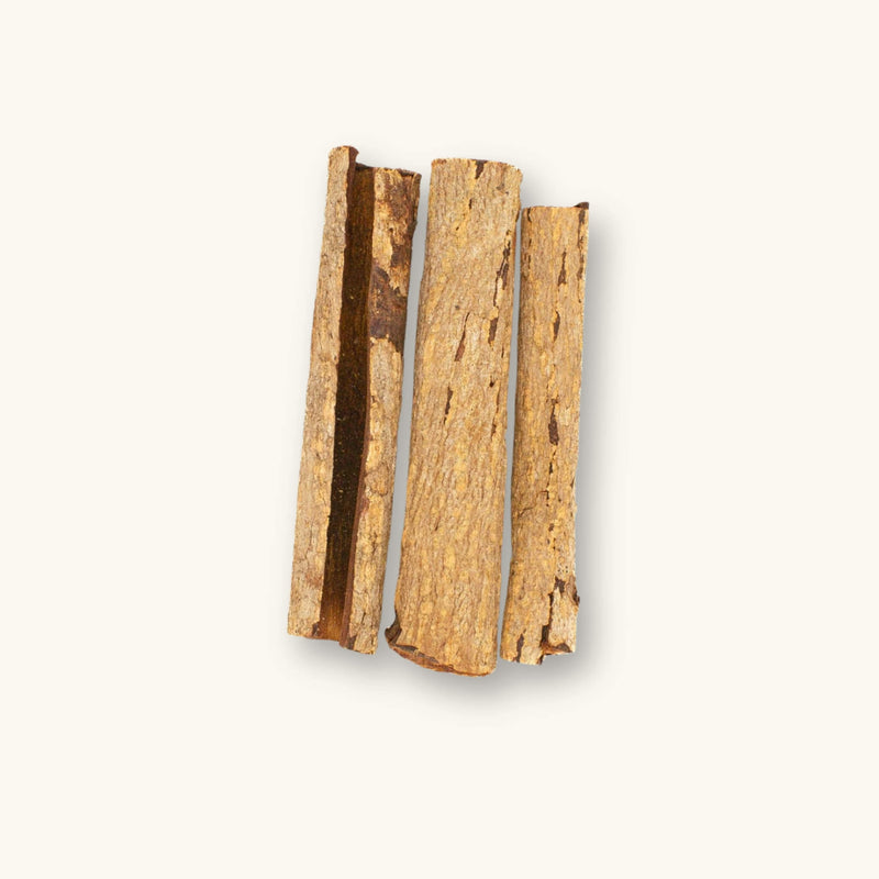 A collection of brown catappa bark curls (Terminalia catappa) for blackwater aquariums, photographed on a natural background at Betta Botanicals.