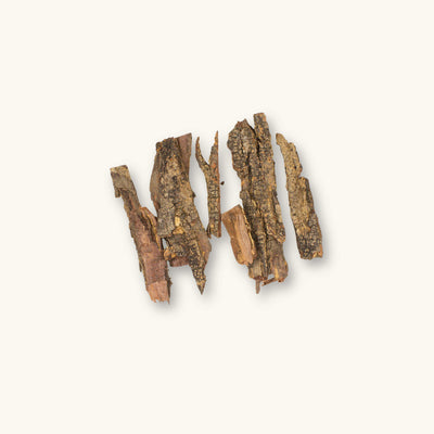 A collection of brown catappa bark sticks (Terminalia catappa) with textured bark for blackwater aquariums, photographed on a natural background at Betta Botanicals.
