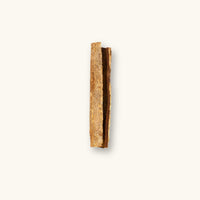 A single brown and textured catappa bark curl (Terminalia catappa) for biotope aquariums, photographed on a natural background at Betta Botanicals.