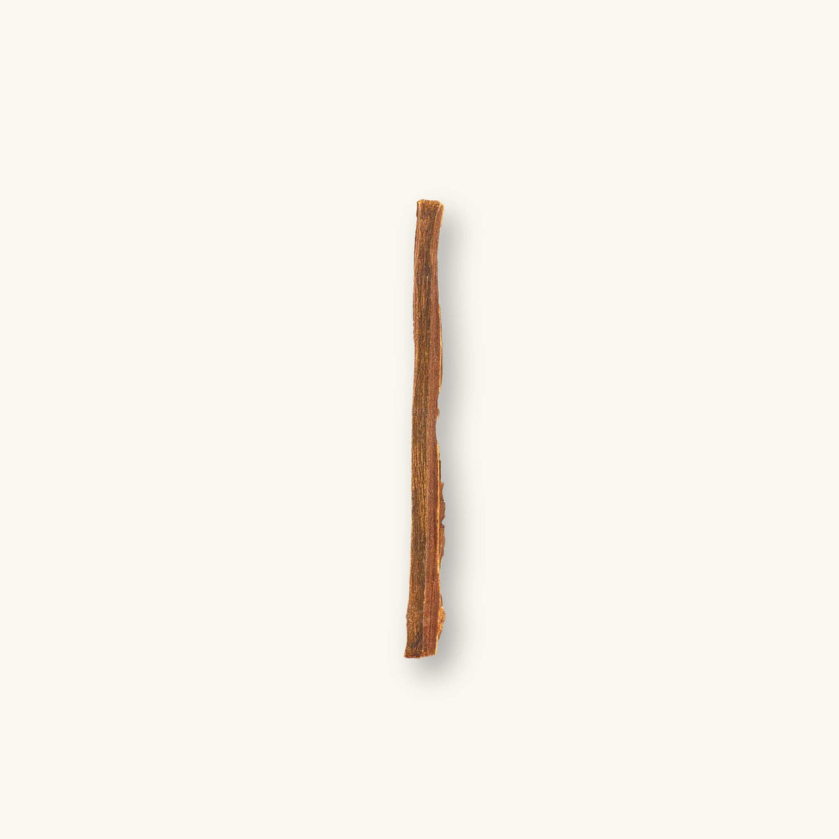 A singular light and dark brown catappa bark stick (Terminalia catappa) for aquariums, photographed on a natural background at Betta Botanicals.