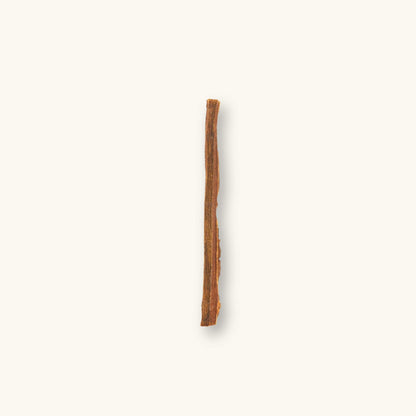 A singular light and dark brown catappa bark stick (Terminalia catappa) for aquariums, photographed on a natural background at Betta Botanicals.
