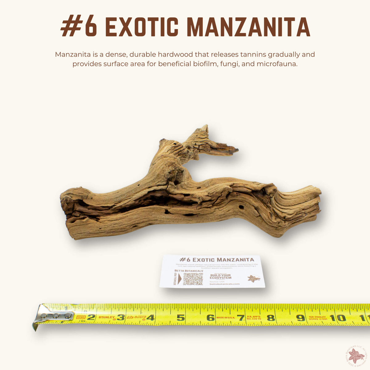 Exotic Manzanita | WYSIWYG Pieces