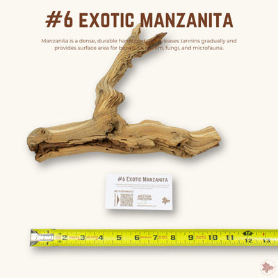 Exotic Manzanita | WYSIWYG Pieces