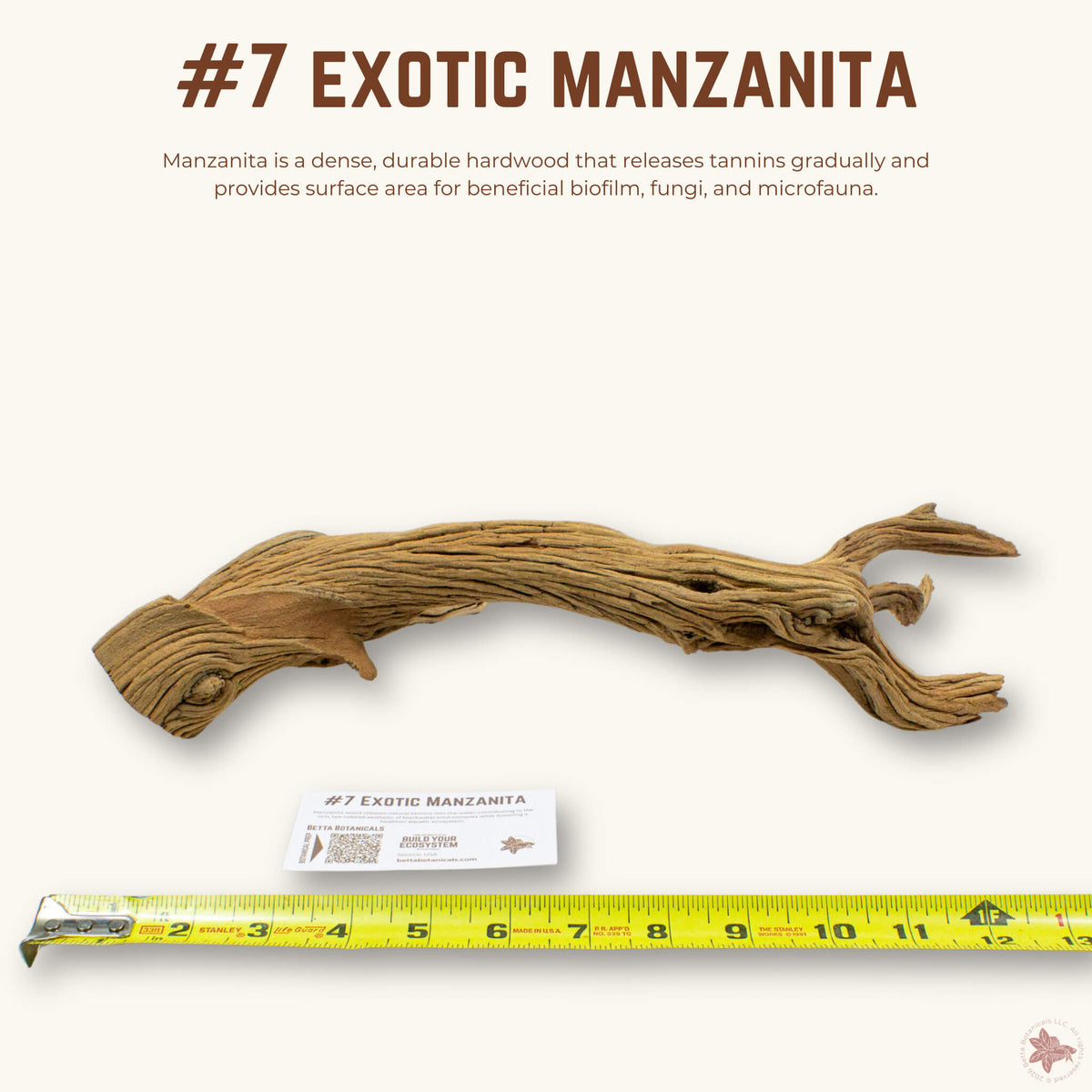 Exotic Manzanita | WYSIWYG Pieces