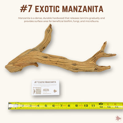 Exotic Manzanita | WYSIWYG Pieces