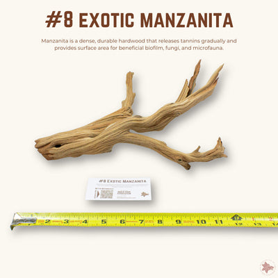 Exotic Manzanita | WYSIWYG Pieces