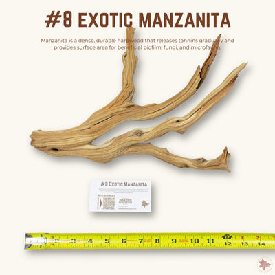 Exotic Manzanita | WYSIWYG Pieces