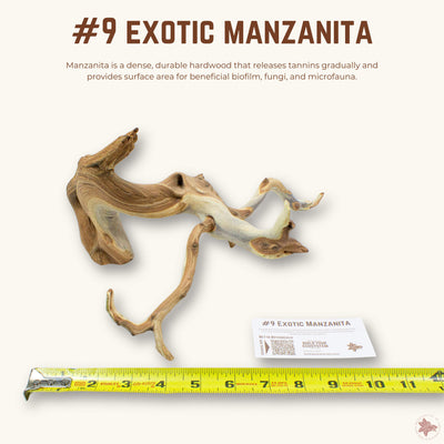 Exotic Manzanita | WYSIWYG Pieces