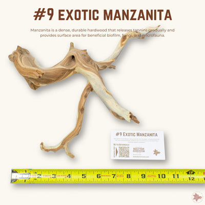 Exotic Manzanita | WYSIWYG Pieces