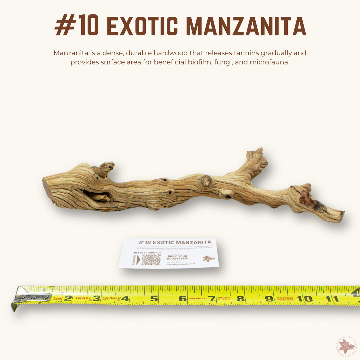 Exotic Manzanita | WYSIWYG Pieces