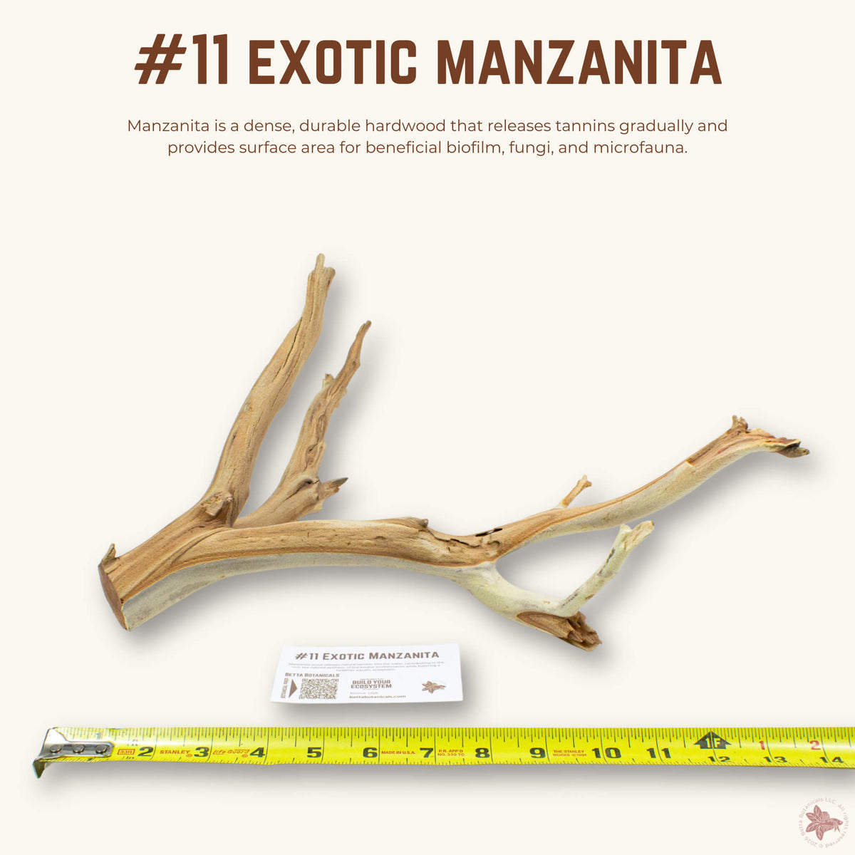 Exotic Manzanita | WYSIWYG Pieces