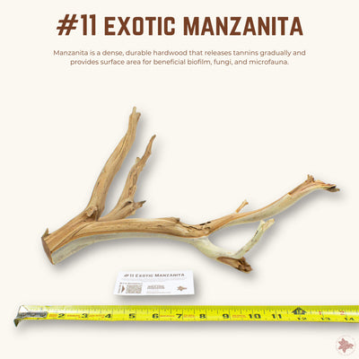 Exotic Manzanita | WYSIWYG Pieces