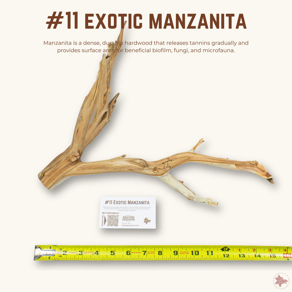 Exotic Manzanita | WYSIWYG Pieces