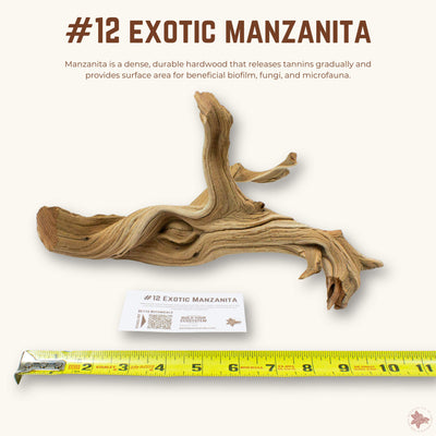 Exotic Manzanita | WYSIWYG Pieces