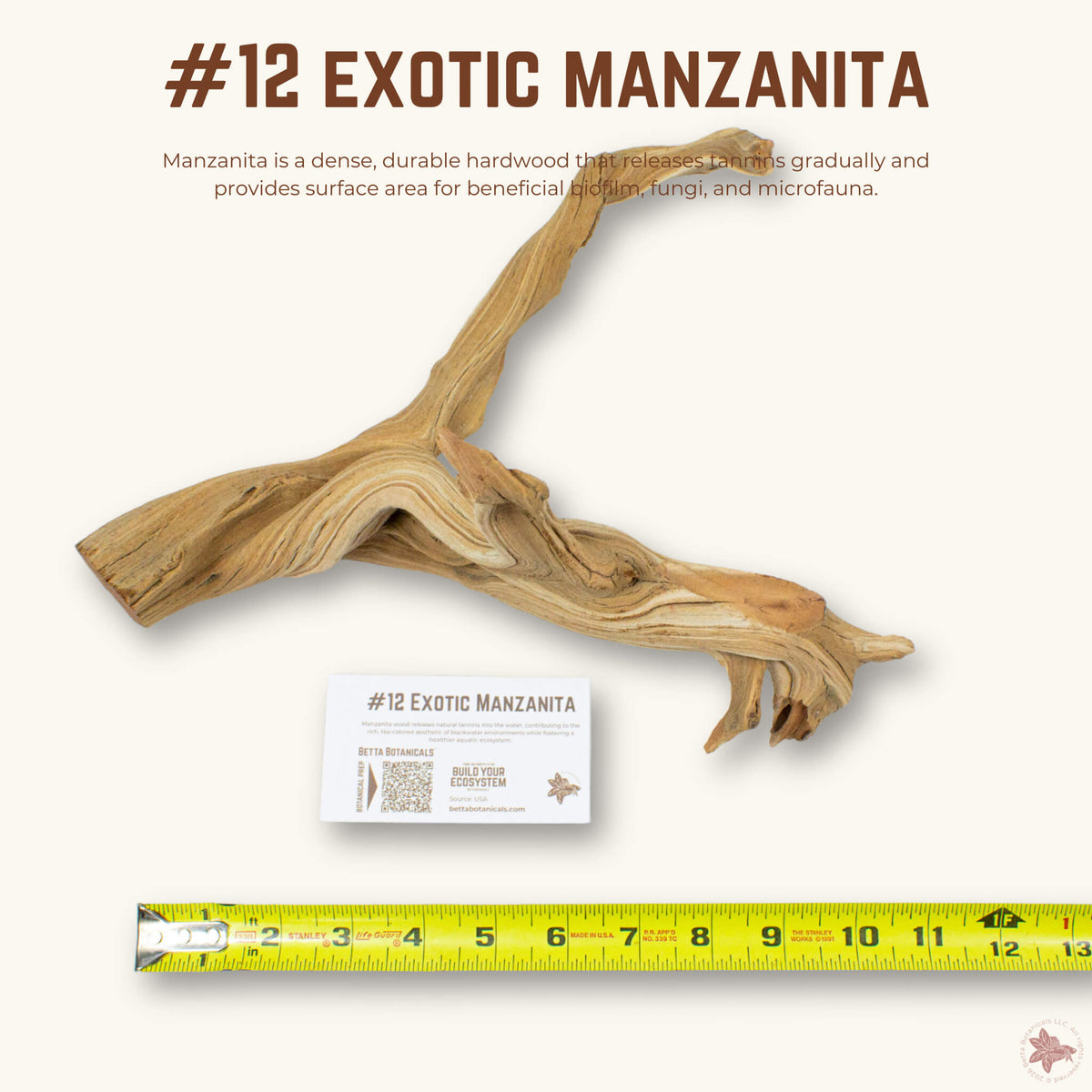 Exotic Manzanita | WYSIWYG Pieces