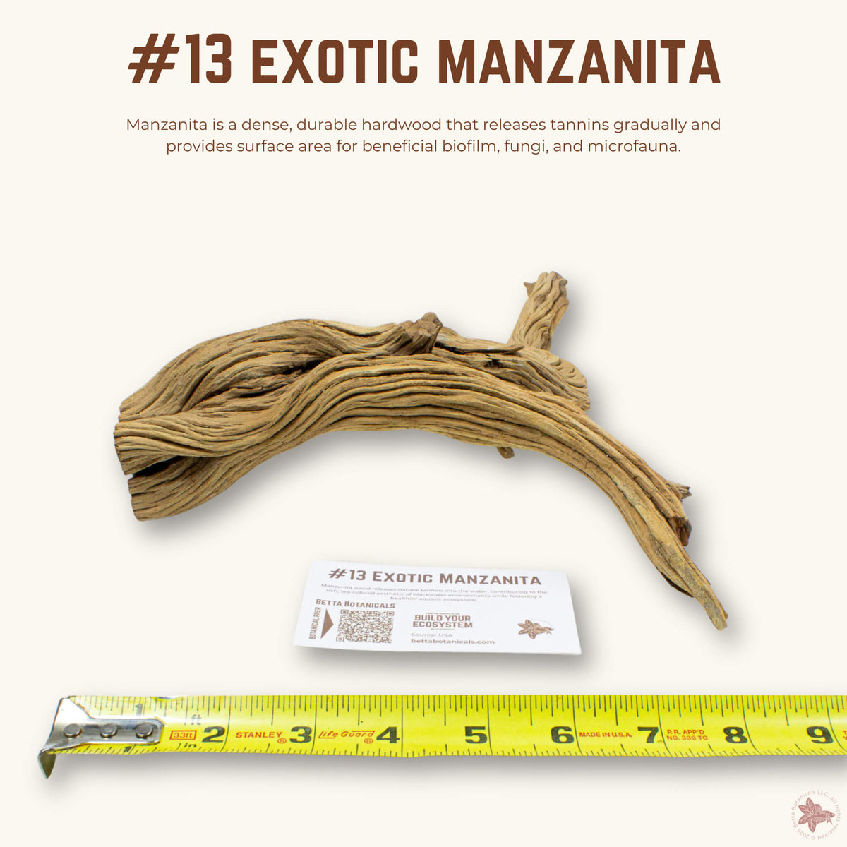 Exotic Manzanita | WYSIWYG Pieces